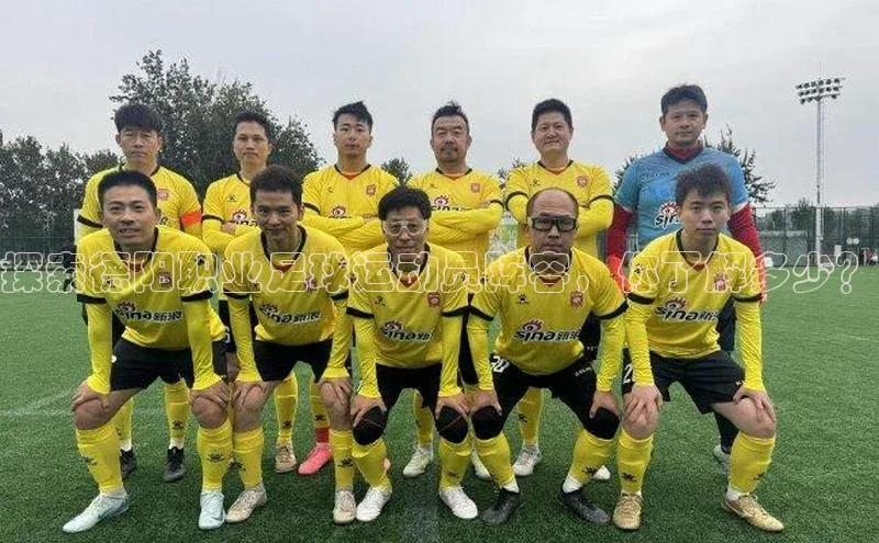 焦点娱乐入口登录网址江铃新能源探索德阳职业足球运动员阵容，你了解多少？