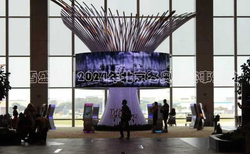 冰雪盛宴：2024年北京冬奥会赛事运动