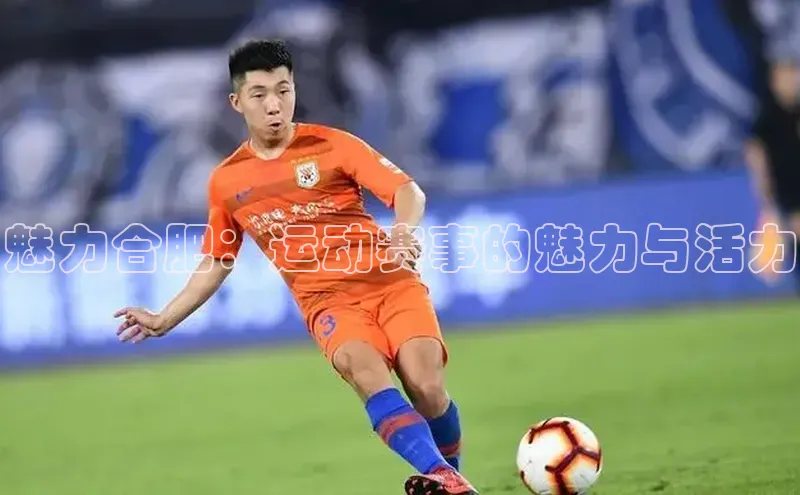 魅力合肥：运动赛事的魅力与活力