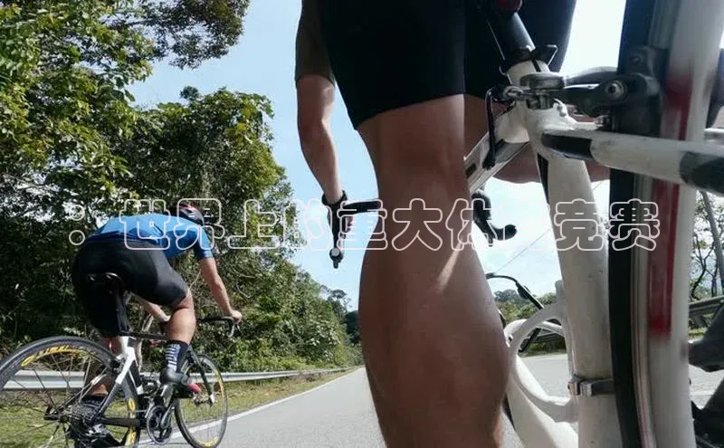 ：世界上的重大体育竞赛