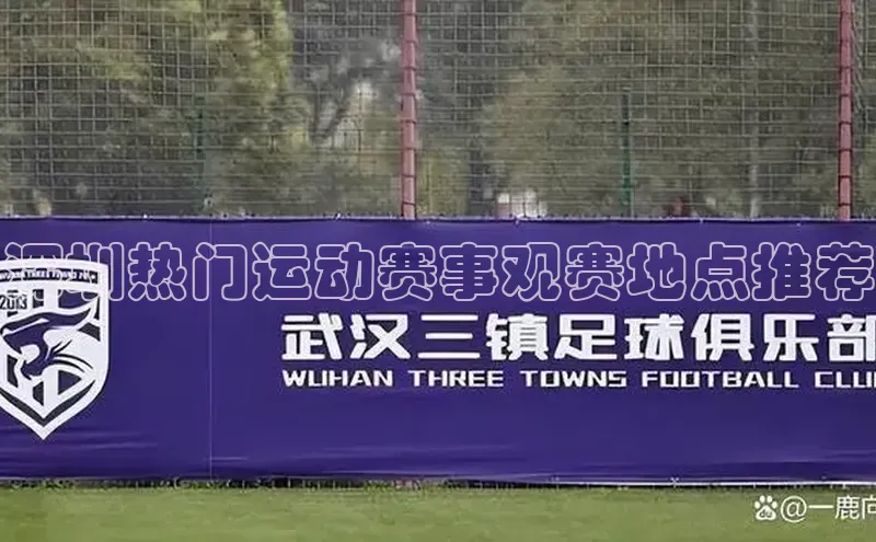 深圳热门运动赛事观赛地点推荐