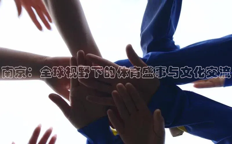 焦点中文app登录入口